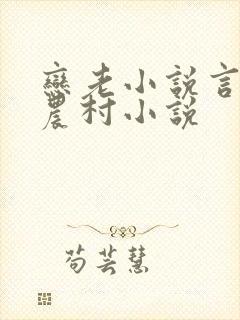 恋老小说言情网农村小说