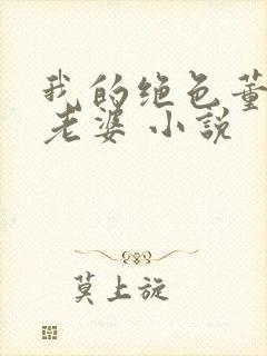 我的绝色董事长老婆 小说