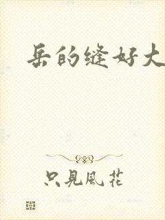 岳的缝好大封面