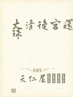 大清后宫还君明珠