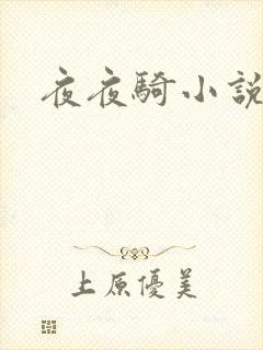 夜夜骑小说