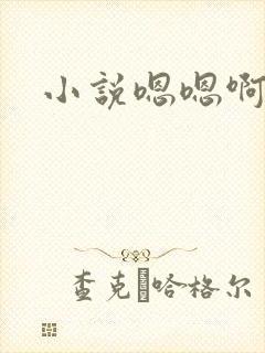 小说嗯嗯啊啊封面