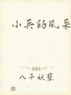 小兵的风采封面