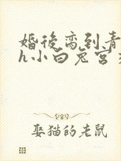 婚后脔到青梅哭h小白兔宫交h