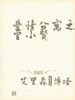 爱情公寓之极品曾小贤