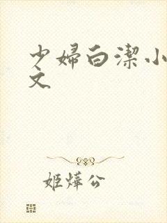 少妇白洁小说全文封面