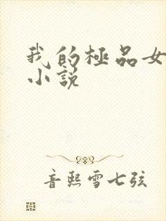 我的极品女老师小说