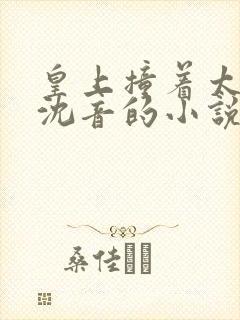 皇上撞着太子妃沈音的小说叫什么