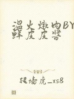 温火炖肉BY海鲜皮皮酱