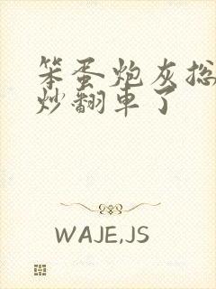 笨蛋炮灰总被爆炒翻车了