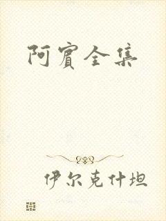 阿宾全集