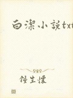 白洁小说txt