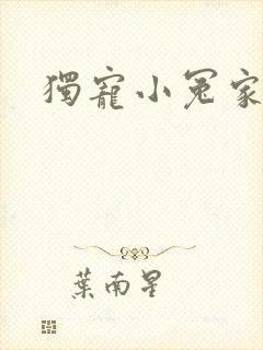 独宠小冤家封面