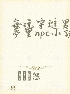 每晚穿进男神的梦里npc小说