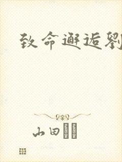 致命邂逅刘小寐封面