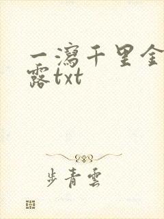 一泻千里金银花露txt封面