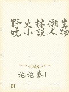 野火林潮生林晚晚小说人物野火封面