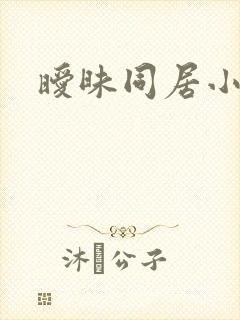 暧昧同居小说封面