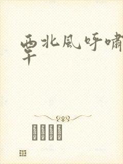 西北风呼啸的中午