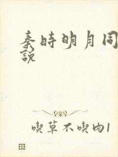 秦时明月同人小说