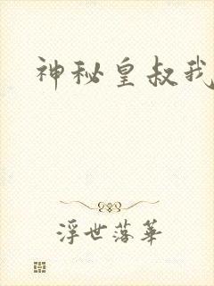 神秘皇叔我要了封面
