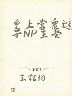 皇上当众进入太子NP主受