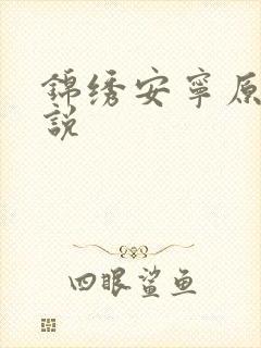 锦绣安宁原著小说