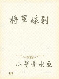 将军嫁到