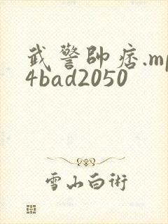 武警帅痞.mp4bad2050