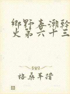 乡野春潮干柴烈火第六十三章封面