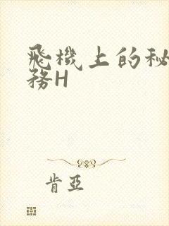 飞机上的秘密服务H