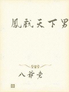 凤戏天下男