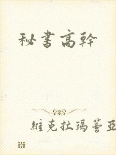 秘书高干