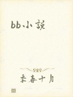 bb小说