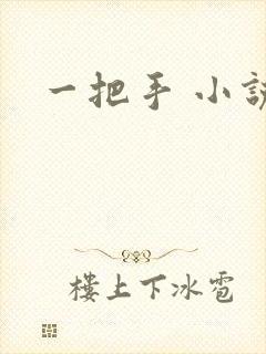 一把手 小说