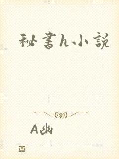 秘书h小说