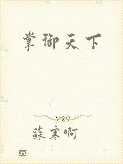 掌御天下