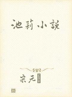 池莉小说
