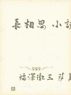 长相思 小说