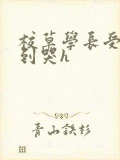 校草学长受被做到哭h