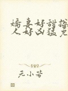 娇妻好甜总裁大人好凶猛免费小说封面