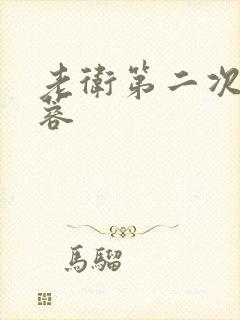老卫第二次玩淑蓉封面
