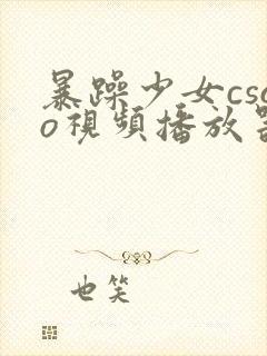 暴躁少女csgo视频播放器推荐