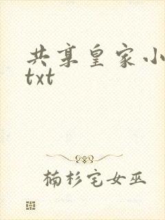 共享皇家小公主txt