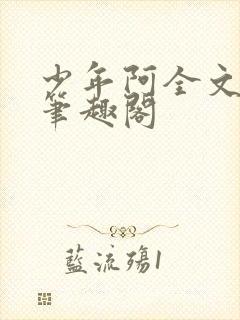 少年阿全文免费笔趣阁封面