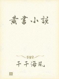 黄书小说