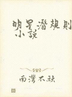 明星潜规则之皇 小说封面