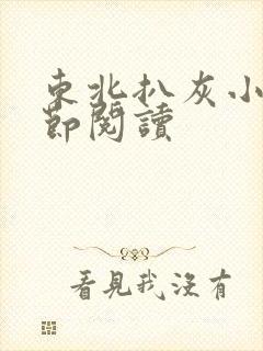 东北扒灰小说分节阅读