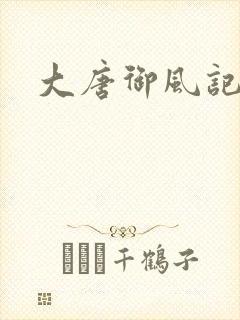 大唐御风记封面