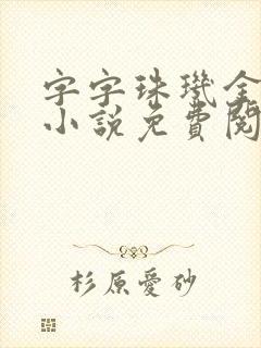 字字珠玑金银花小说免费阅读